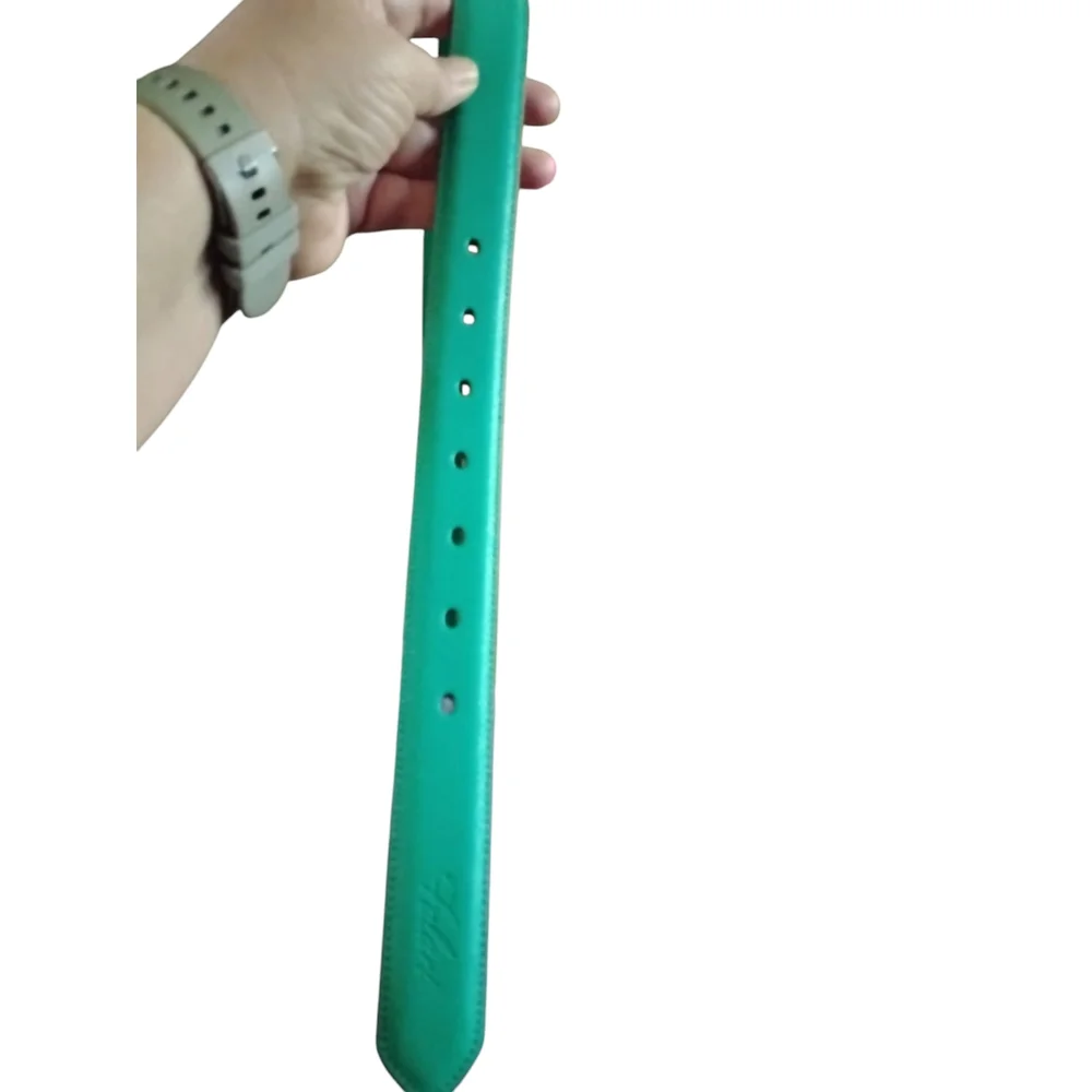 Elegant Teal Belt for Women - Picture 6 of 10